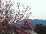 [030322_1.jpg]
