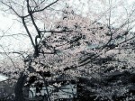 [030404.jpg]