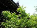 [030510.jpg]