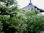 [030531.jpg]