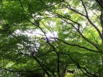 [030607.jpg]