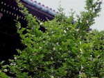 [030622.jpg]