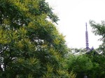 [030622_2.jpg]