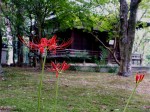 [030919.jpg]