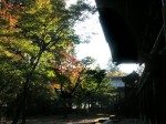 [031101_4.jpg]