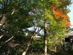 [031108.jpg]