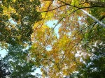 [031108_5.jpg]