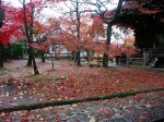 [031129_3.jpg]
