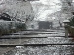 [031220.jpg]