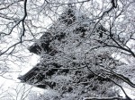 [031220_5.jpg]