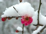 [031220_7.jpg]