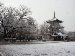 [031220_8.jpg]
