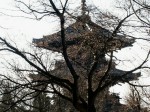 [040110_6.jpg]