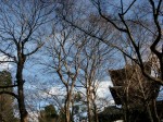 [040110_8.jpg]