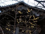 [040207_1.jpg]