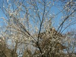 [040220.jpg]