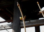 [040220_3.jpg]