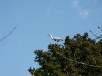 [040227_3.jpg]