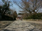 [040305_8.jpg]