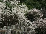 [040312_1.jpg]
