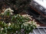 [040312_3.jpg]
