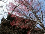 [040319.jpg]