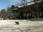 [040319_4.jpg]