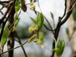 [040319_9.jpg]