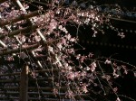 [040326_2.jpg]