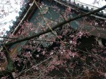 [040326_5.jpg]