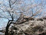 [040402_7.jpg]