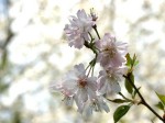 [040402_9.jpg]