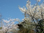 [040409_1.jpg]