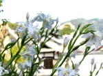 [040409_12.jpg]