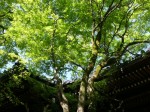 [040416_1.jpg]