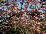 [040416_4.jpg]