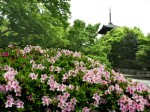 [040423_5.jpg]