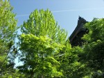[040429_1.jpg]