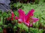 [040429_11.jpg]