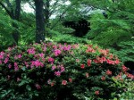 [040520_1.jpg]