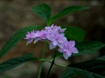 [040529_2.jpg]