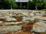 [040529_4.jpg]