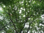 [040529_7.jpg]