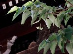 [040604_2.jpg]