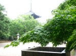 [040611_4.jpg]