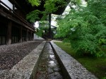 [040611_5.jpg]