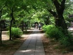 [040618_4.jpg]