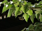 [040618_6.jpg]