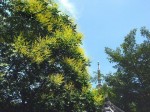 [040618_7.jpg]