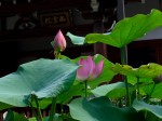 [040701_10.jpg]